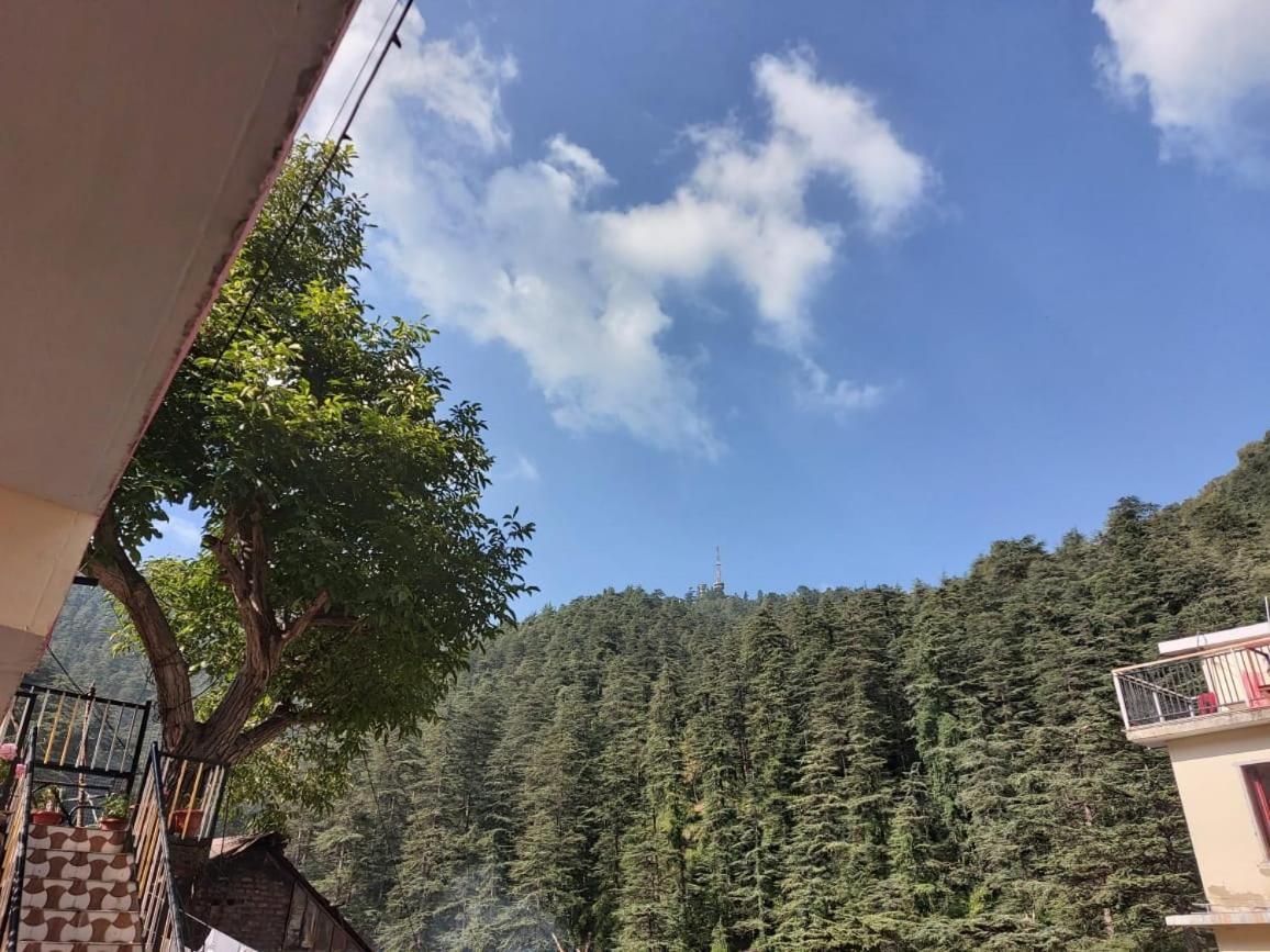 Shimla Pines Homestay Экстерьер фото