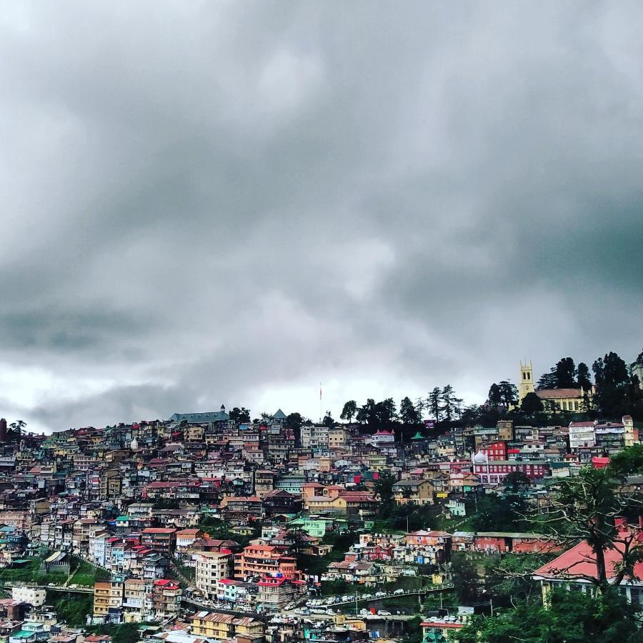 Shimla Pines Homestay Экстерьер фото
