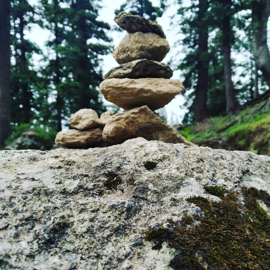 Shimla Pines Homestay Экстерьер фото