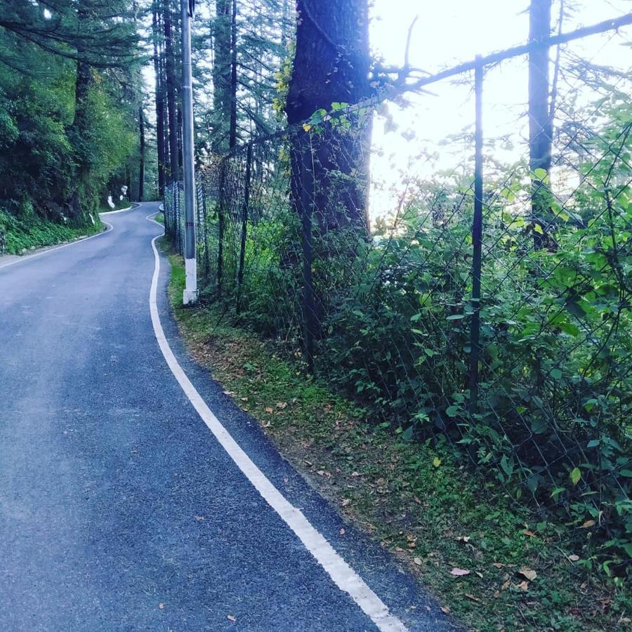 Shimla Pines Homestay Экстерьер фото